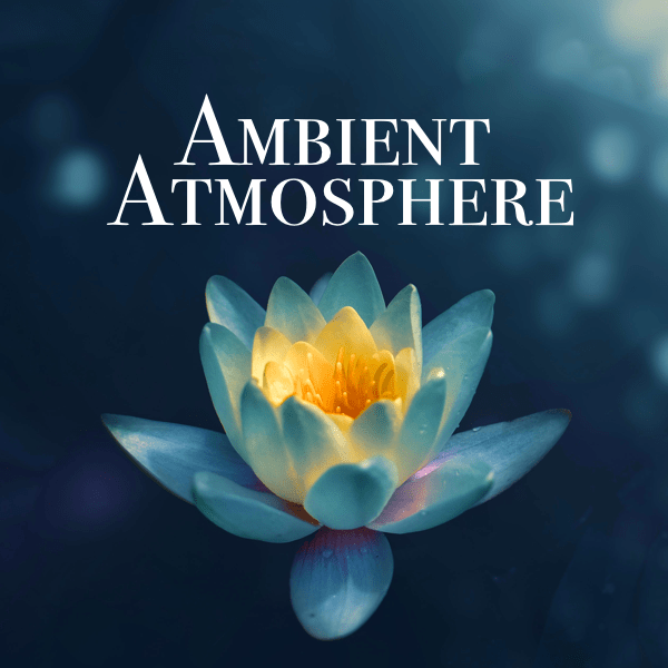 Ambient Atmosphere