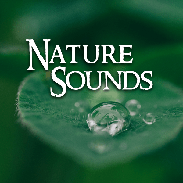 Nature Sounds